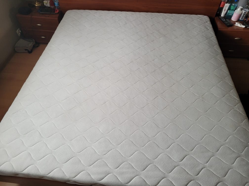 339924209_726485255876116_8831731389917641141_n