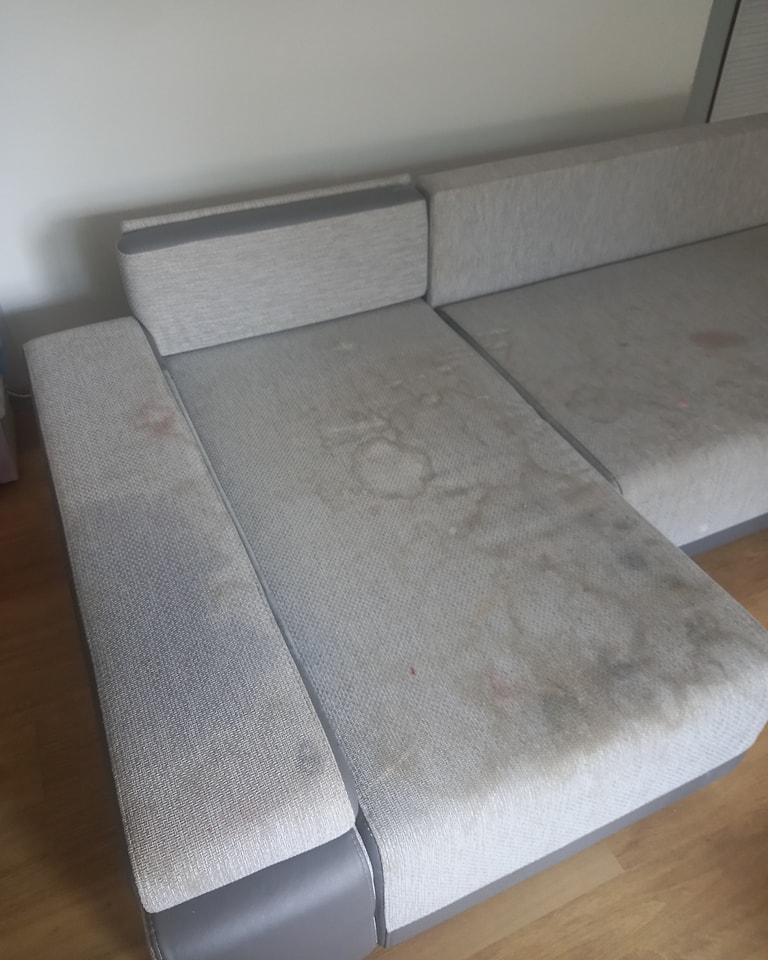 369531234_769957381798401_1234783738157637982_n