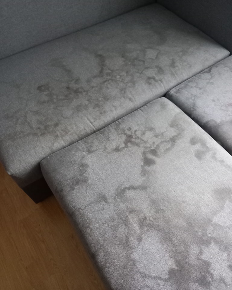 381056854_789198683207604_6351343688203628349_n