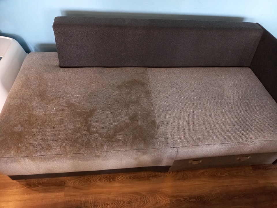 394051570_809452074515598_2279997481982333048_n