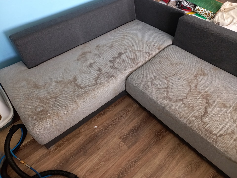 394083324_809451797848959_2008389611401423080_n