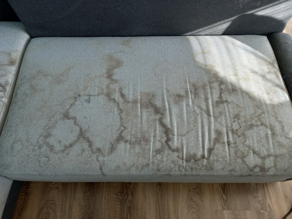 394307598_809451714515634_158475623544872292_n