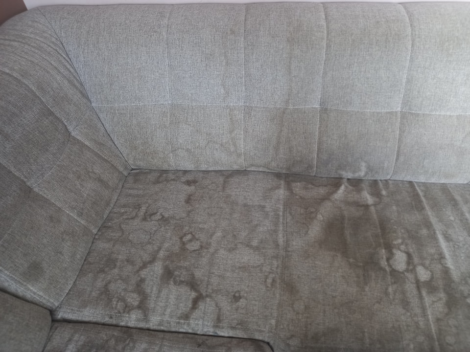 407480919_837250958402376_2900495273342086251_n