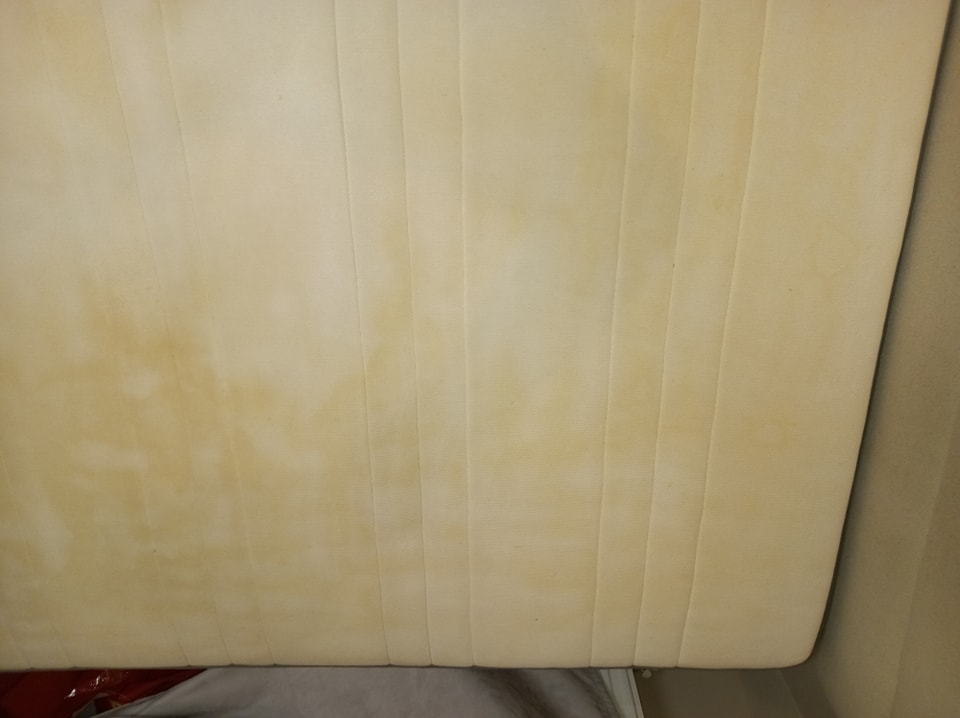 421905660_878448684282603_1594702417788523431_n