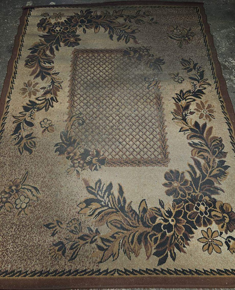 445161337_957204076407063_2880371128392475466_n