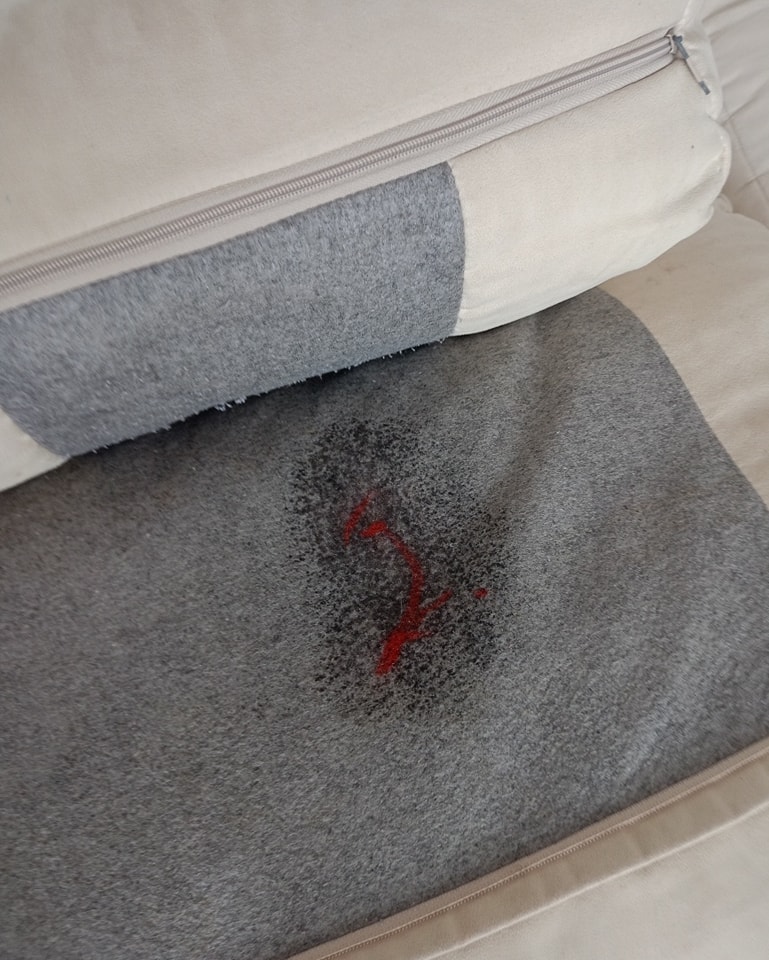 448024236_964680182326119_2517121695201040590_n