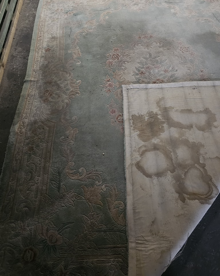 448044055_966552895472181_7866406436107733122_n