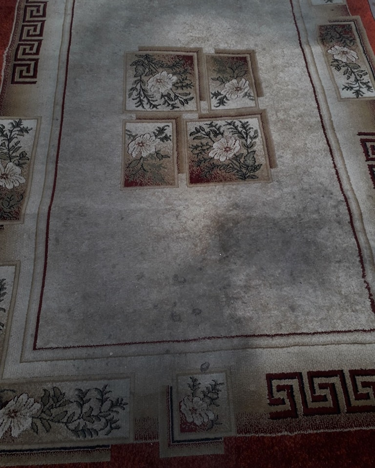 448210876_966553042138833_6723679159432903902_n