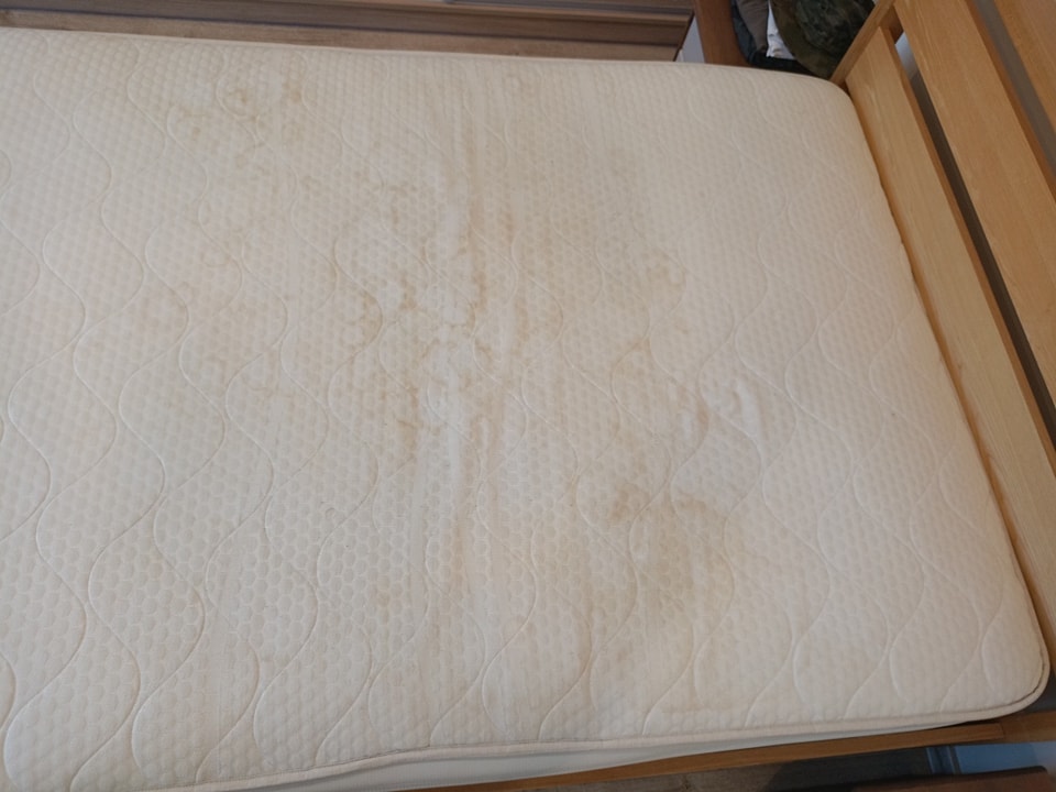 451325394_990606529733484_7274537279666675109_n