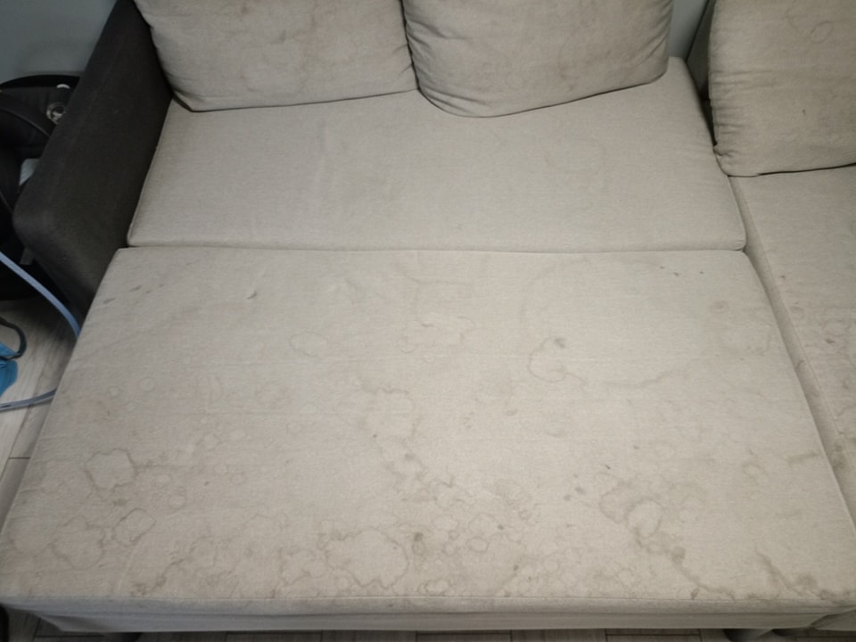 462350977_1053418716785598_3482041321112430616_n