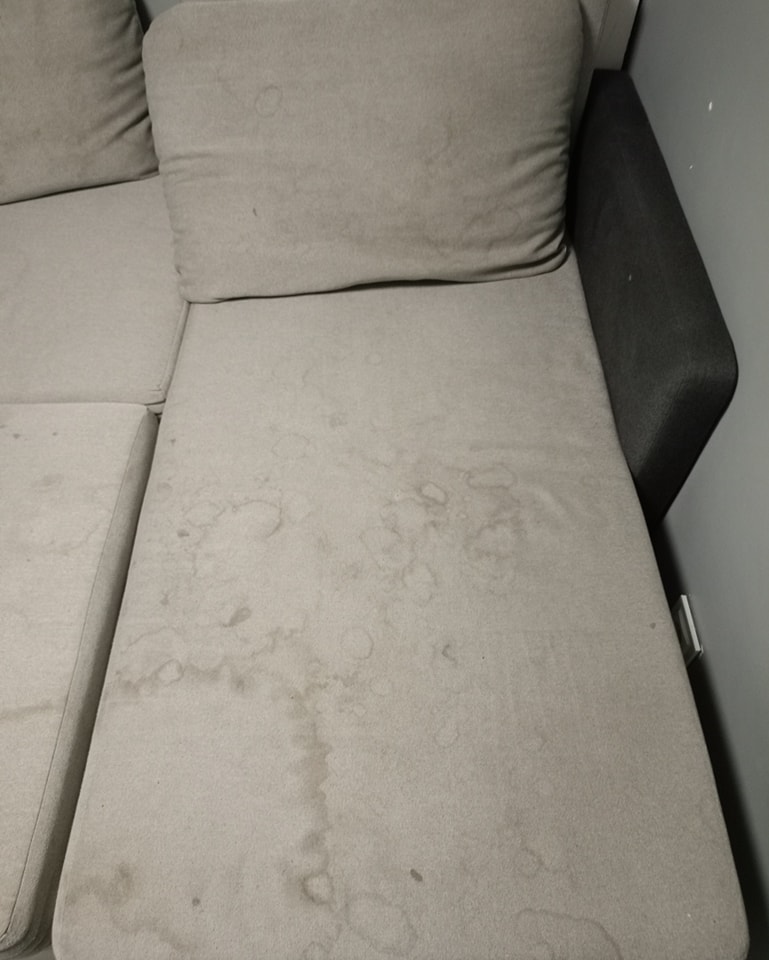 462470494_1053418806785589_5970069681444036802_n