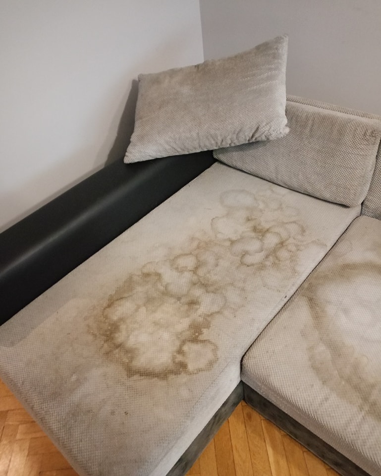 472555686_1121558873304915_3133786464772173819_n