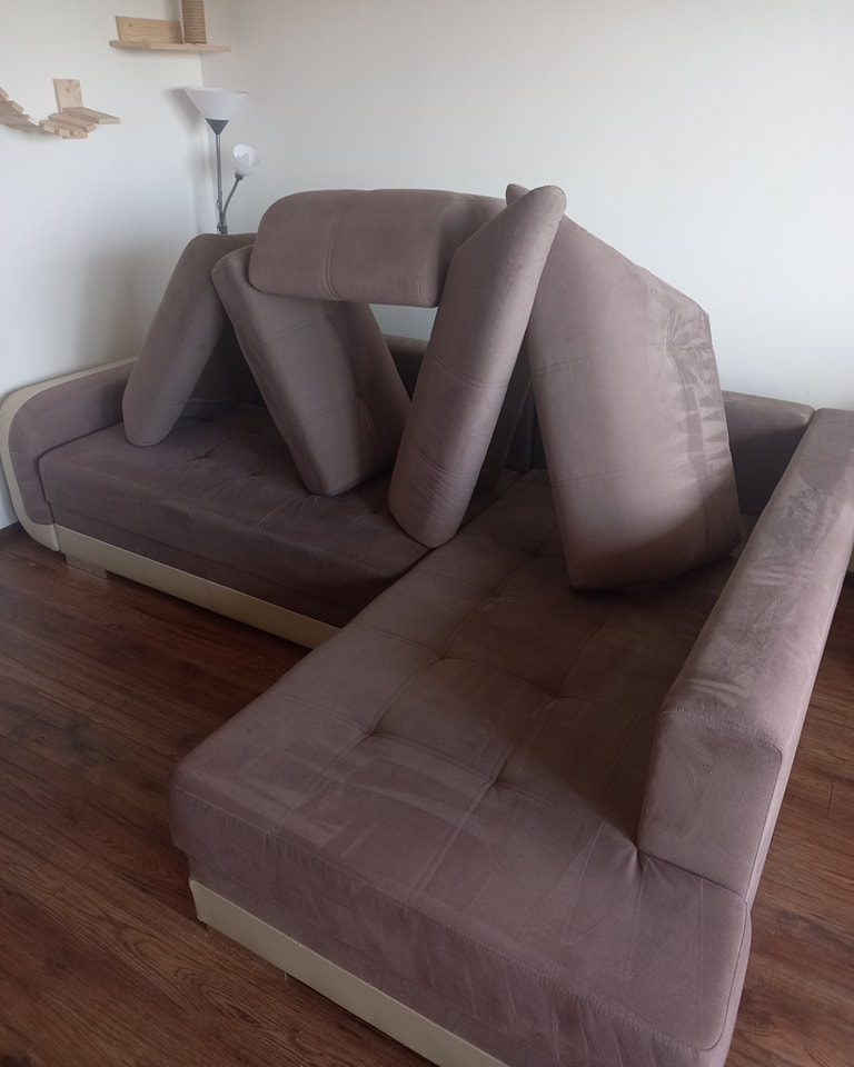 356625879_733049525489187_5154607828254363179_n