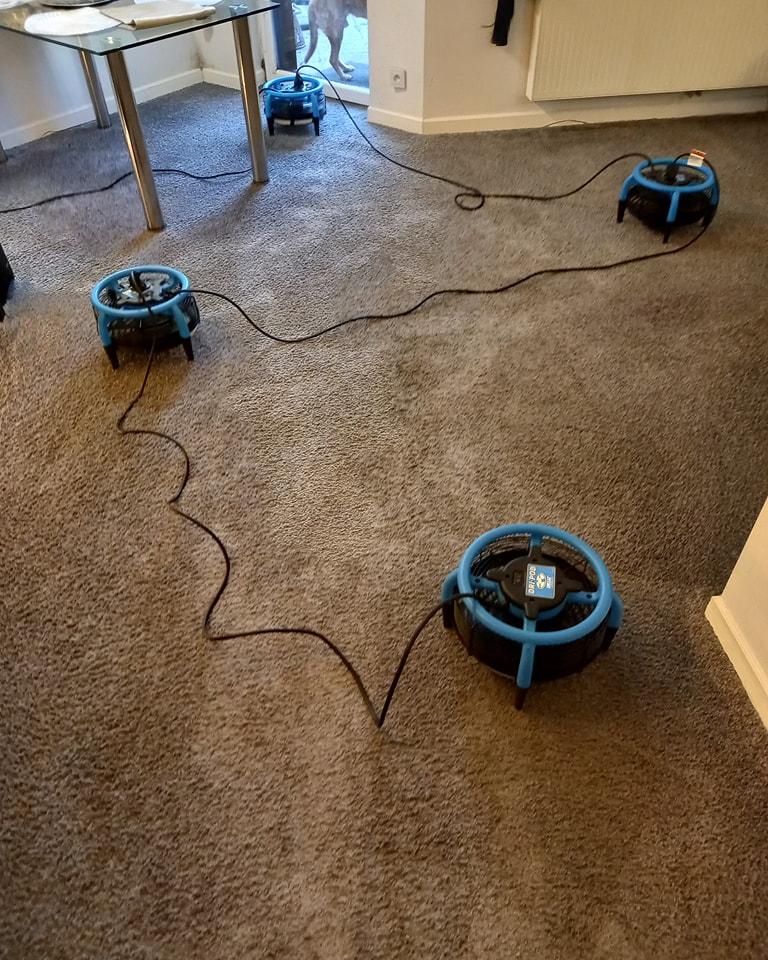 410916833_846395130821292_5439853079987461451_n