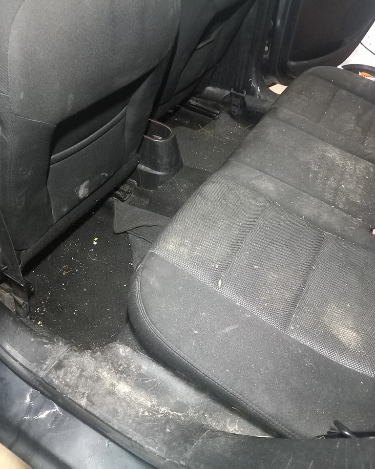 421848716_872911668169638_230906195223960619_n