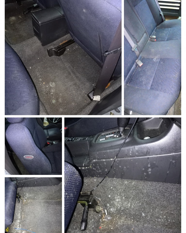 431064338_900125288781609_7386606525203548185_n